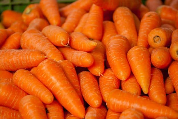 Carrots | Preserving Your Harvest: How to Dehydrate Summer Vegetables