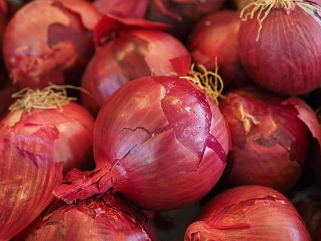 Onions | Preserving Your Harvest: How to Dehydrate Summer Vegetables