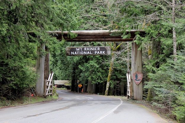 Mount Rainier National Park | These 10 Washington Campgrounds are Evergreen