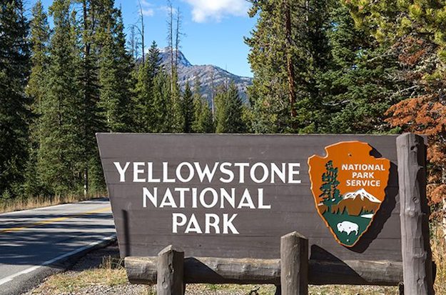 Yellowstone National Park | Explore the Wild, Wild West in Wyoming