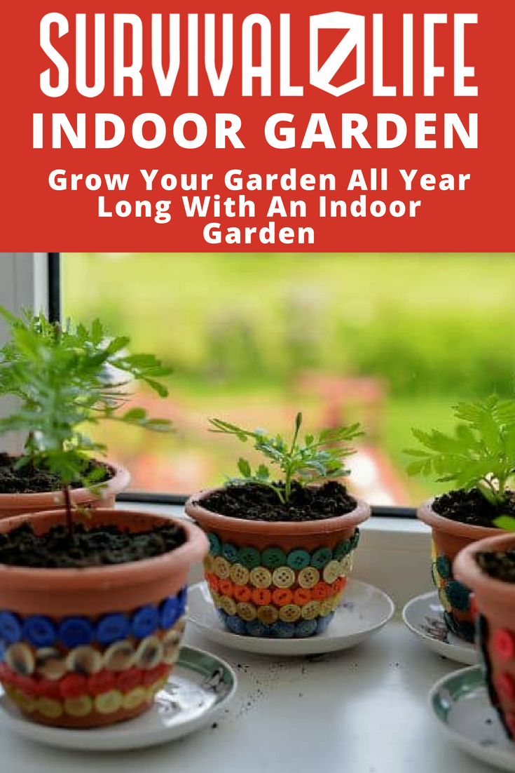 Grow Your Garden All Year Long With An Indoor Garden | https://survivallife.com/indoor-gardening-year-round