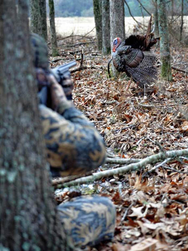Turkey hunting season | Alabama Hunting Laws and Regulations