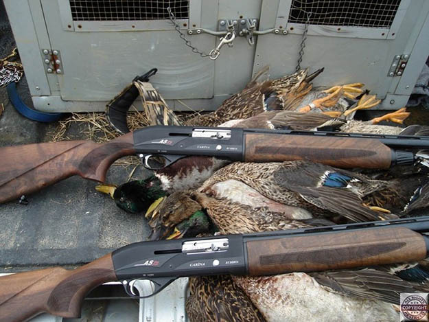Arizona Hunting Laws Open Season