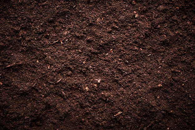 Brown soil | Grow Your Garden All Year Long With An Indoor Garden