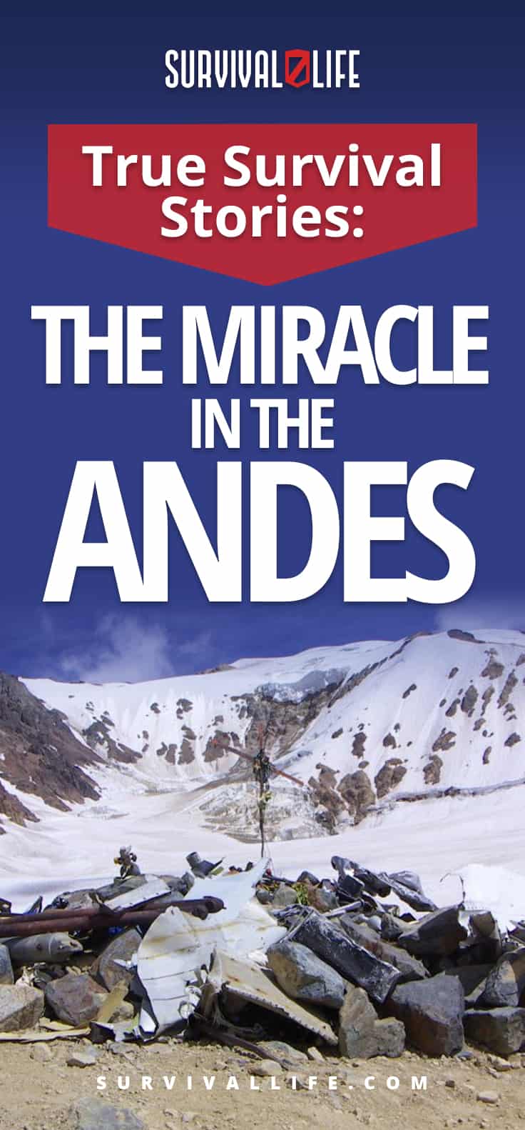 True Survival Stories: The Miracle In the Andes