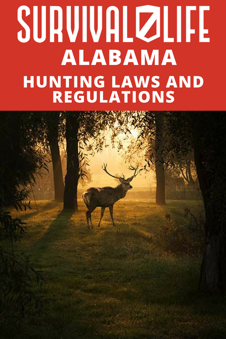 Check out Alabama Hunting Laws and Regulations at https://survivallife.com/alabama-hunting-laws-and-regulations/