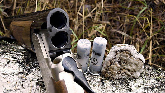 Arms and Ammo | California Hunting Laws and Regulations