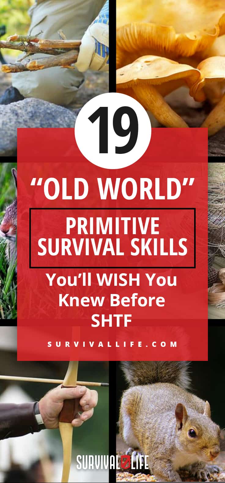 Placard | Survival Skills | "Old World" Primitive Survival Skills You'll WISH You Knew Before SHTF