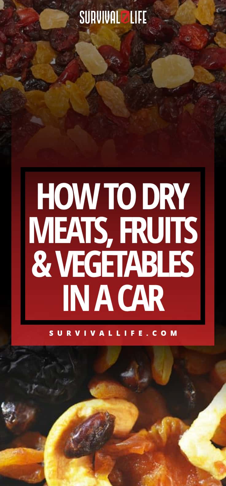 How To Dry Meats, Fruits & Vegetables In A Car
