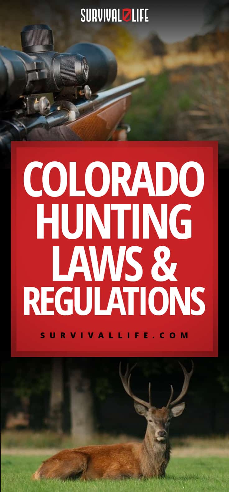 452SL Colorado Hunting Laws and Regulations