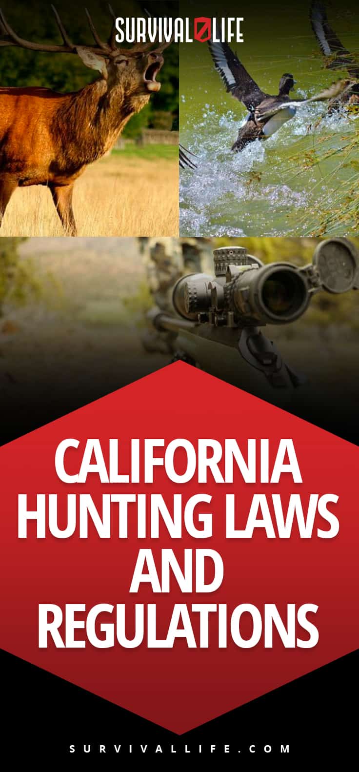 California Hunting Laws and Regulations