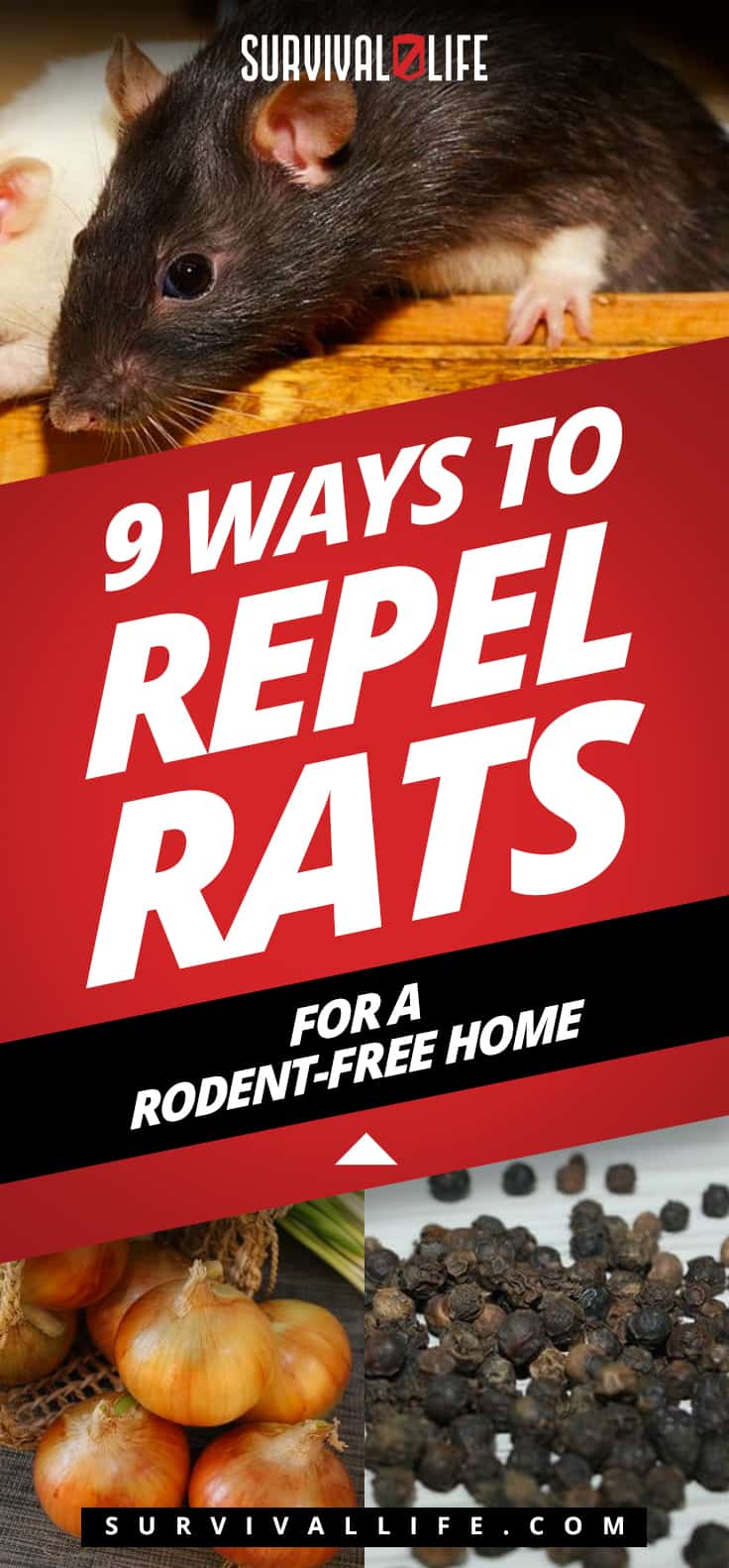 Ways To Repel Rats For A Rodent-Free Home | https://survivallife.com/repel-rats/