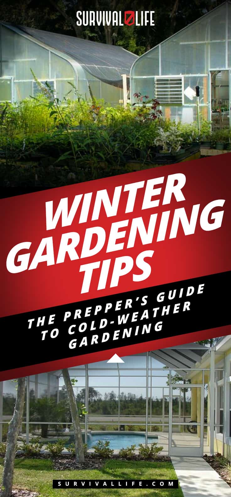 Placard | Winter Gardening Tips: The Prepper's Guide to Cold-Weather Gardening | gardening in winter months
