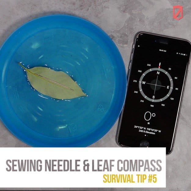 Sewing needle and leaf compass | Quick & Easy Survival Hacks Using Household Items
