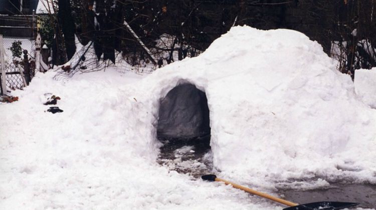 Snow Shelter igloo snow fort frozen winter pb