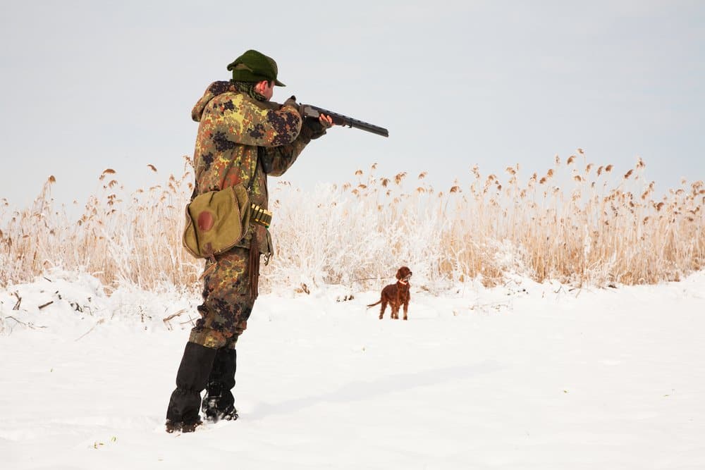 License Information & Requirements | Colorado Hunting Laws and Regulations