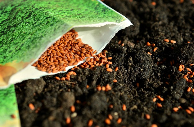 Start Your Own Seeds Indoors | Winter Gardening Tips: The Prepper's Guide to Cold-Weather Gardening