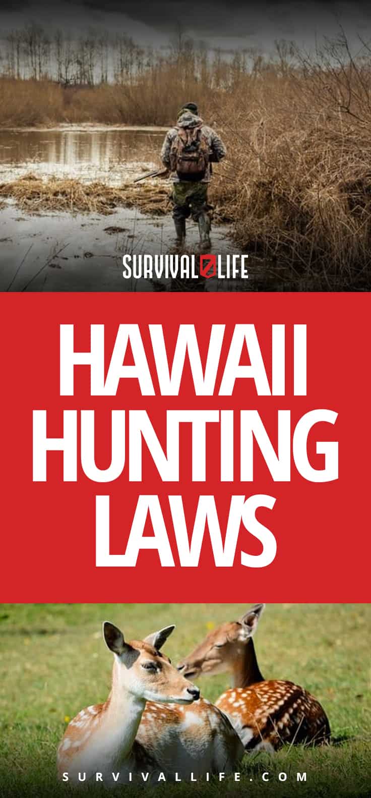 Hawaii Hunting Laws