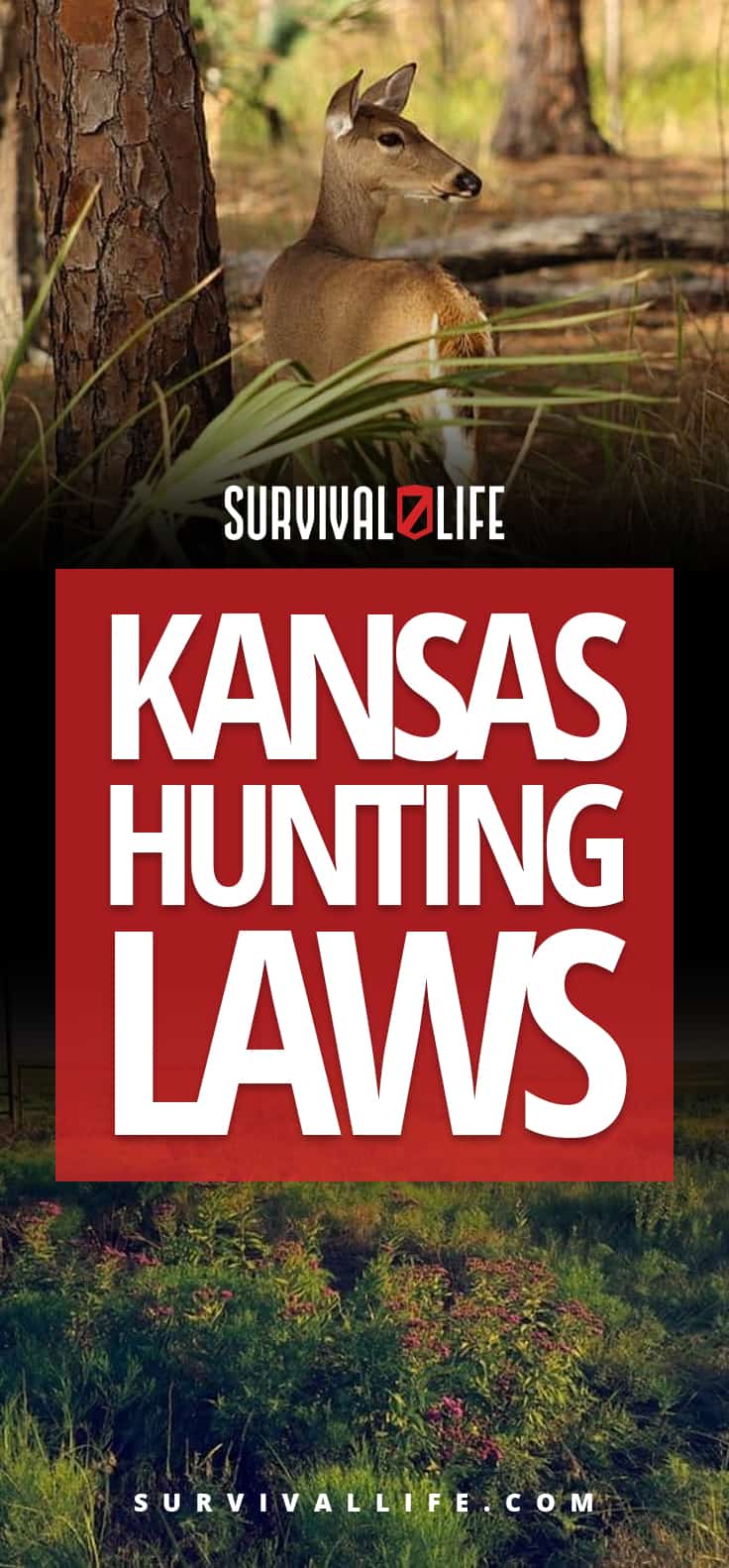 Kansas Hunting Laws