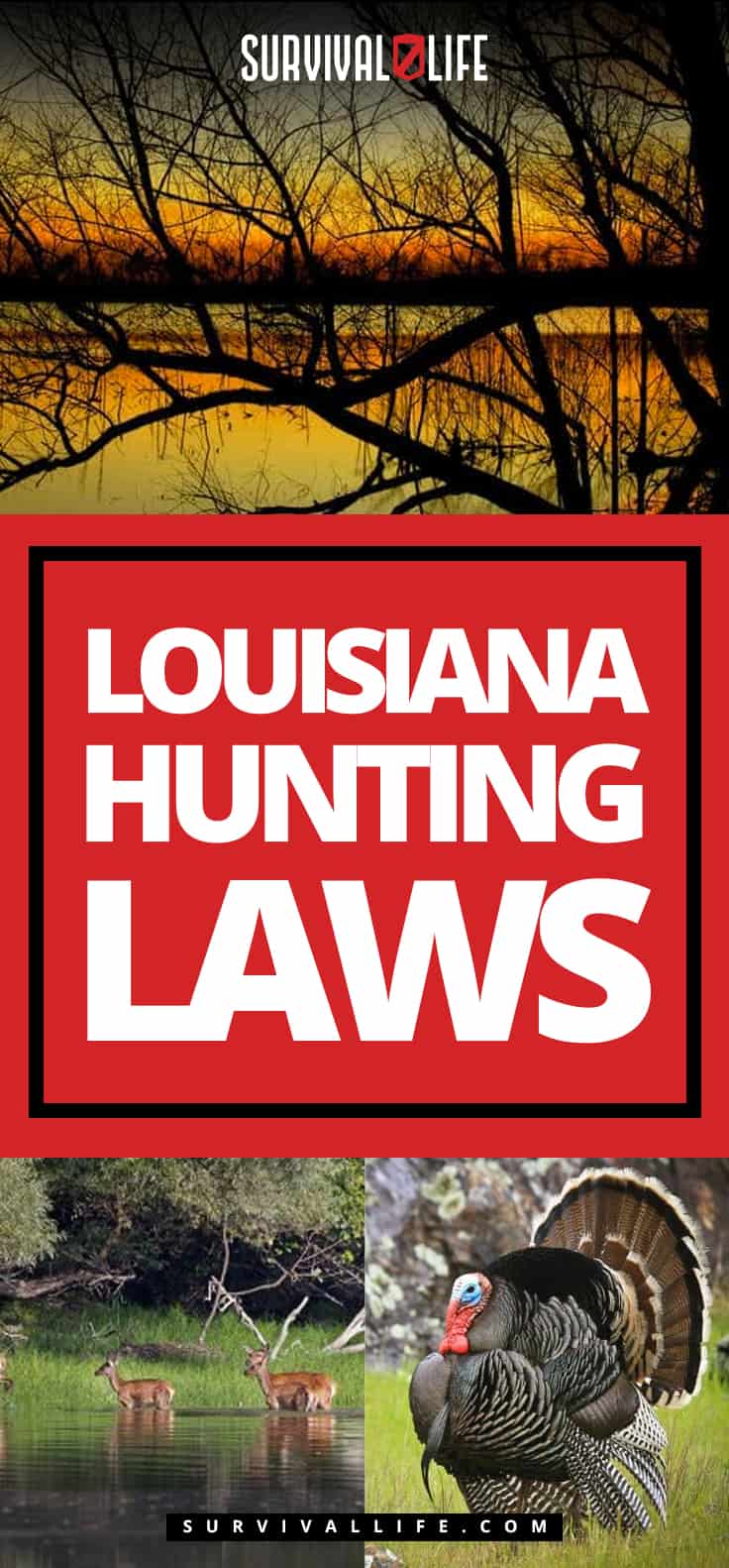 Louisiana Hunting Laws