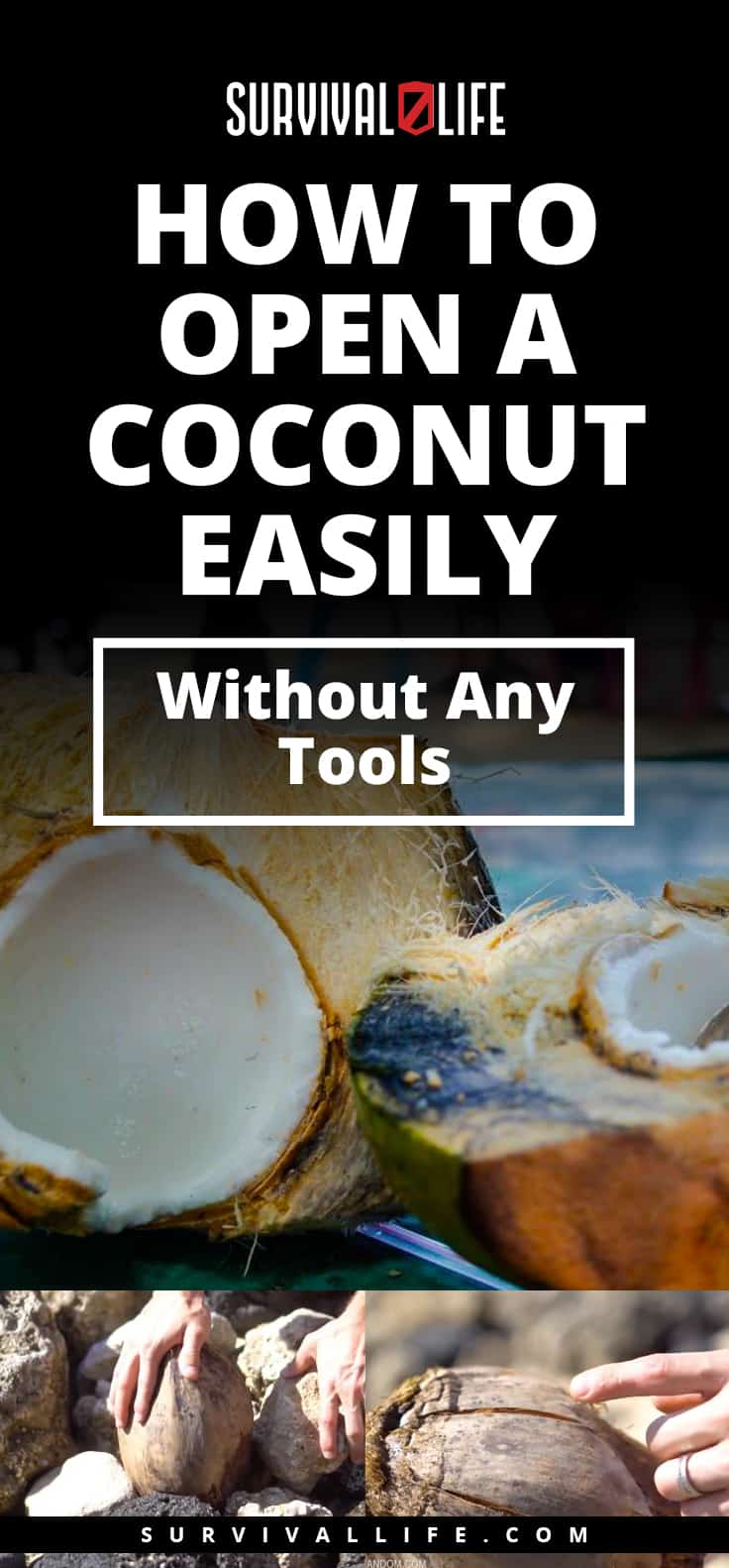 How To Open A Coconut Easily Without Any Tools