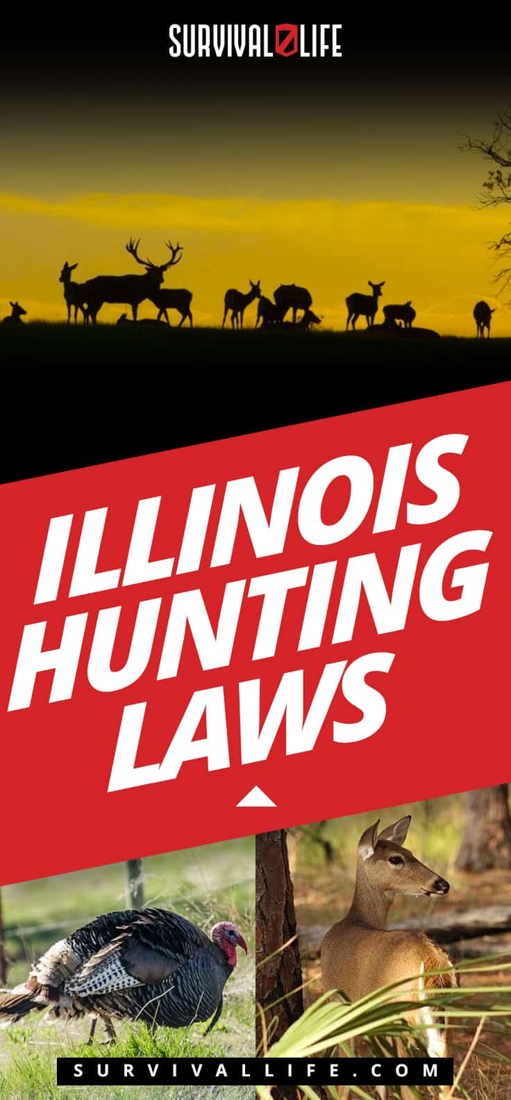 Illinois Hunting Laws