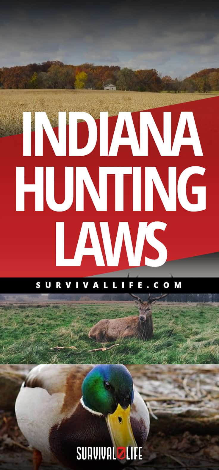 Indiana Hunting Laws