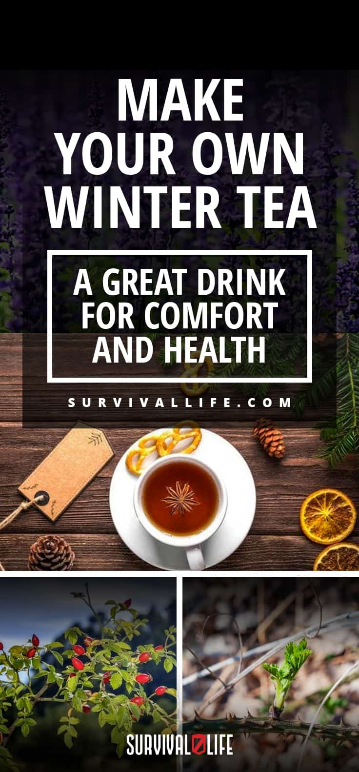Make Your Own Winter Tea | A Great Drink for Comfort and Health