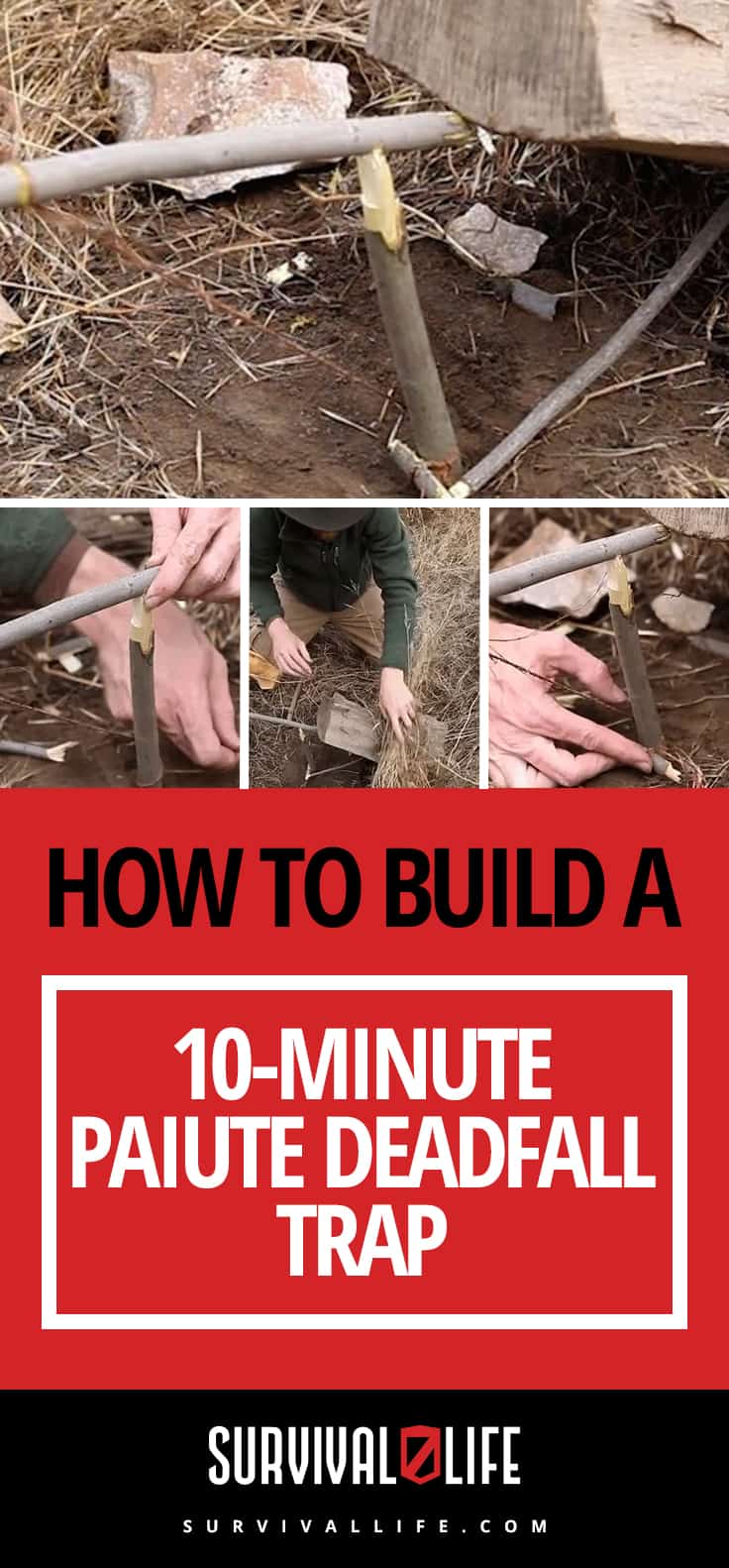 How To Build a 10-Minute Paiute Deadfall Trap