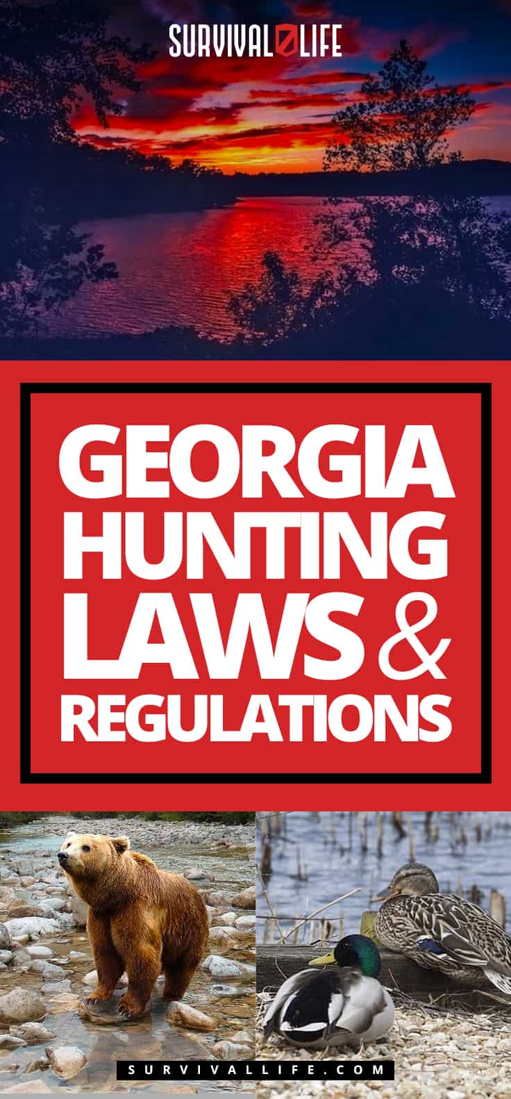 Georgia Hunting Laws and Regulations