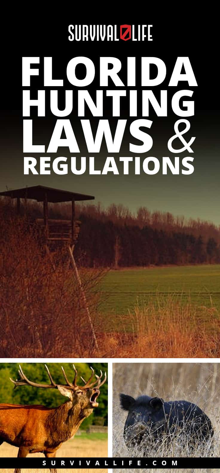Florida Hunting Laws and Regulations