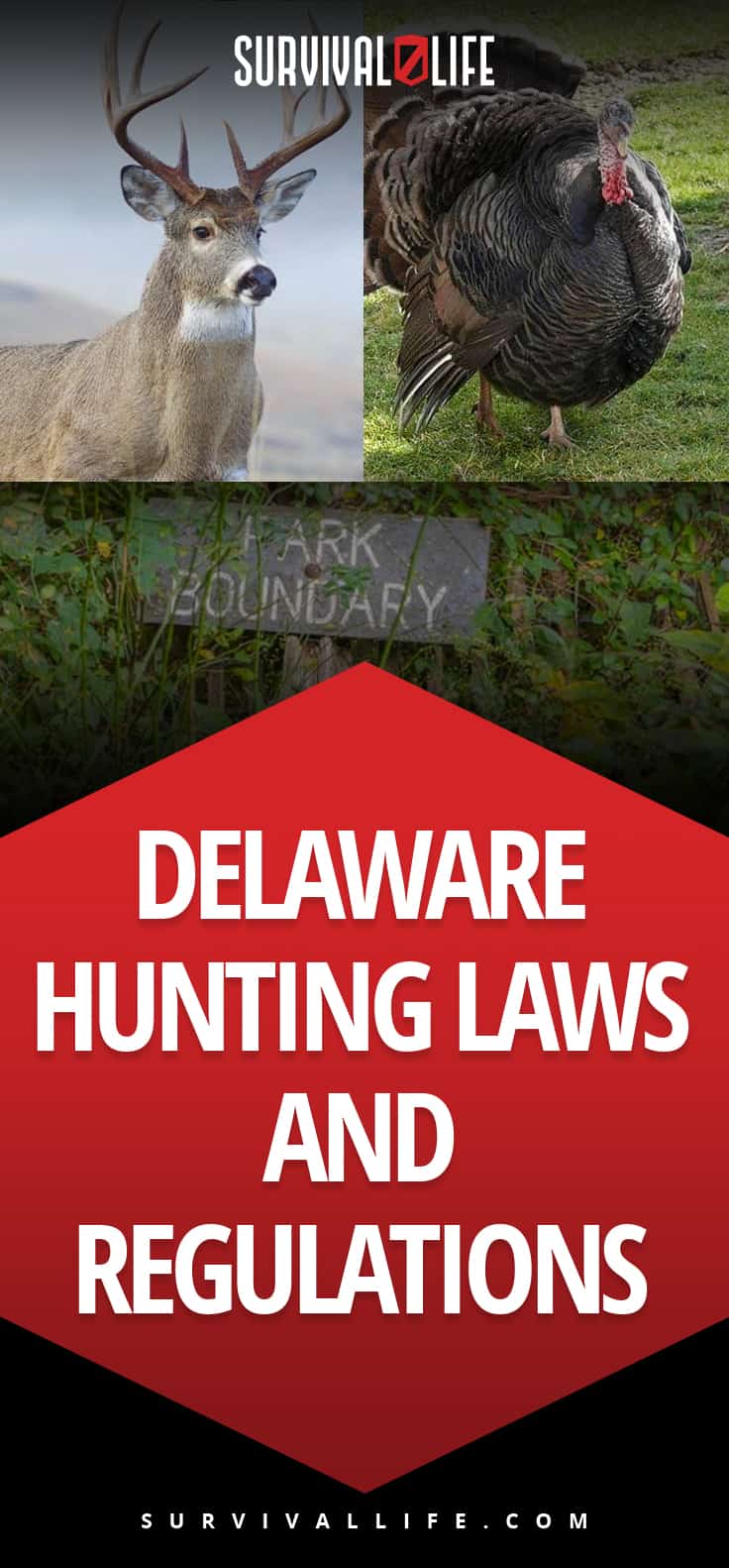 Delaware Hunting Laws and Regulations