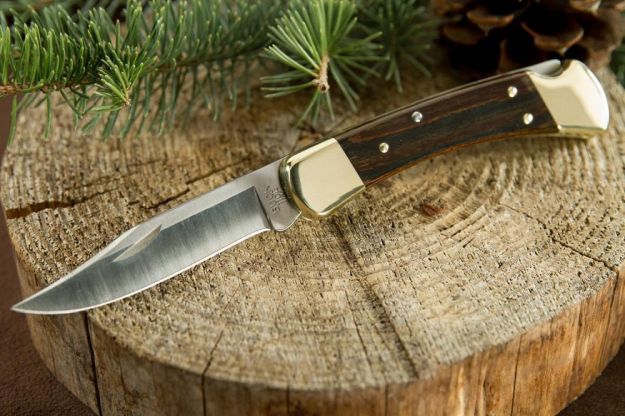Buck Knives 110BRS Folding Hunter | 10 Good-Looking Folding Hunting Knives Every Hunter Should Appreciate
