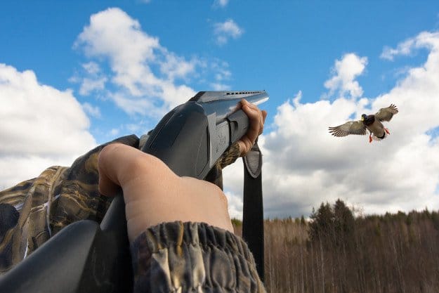 Duck Hunting in Florida | Florida Hunting Laws and Regulations