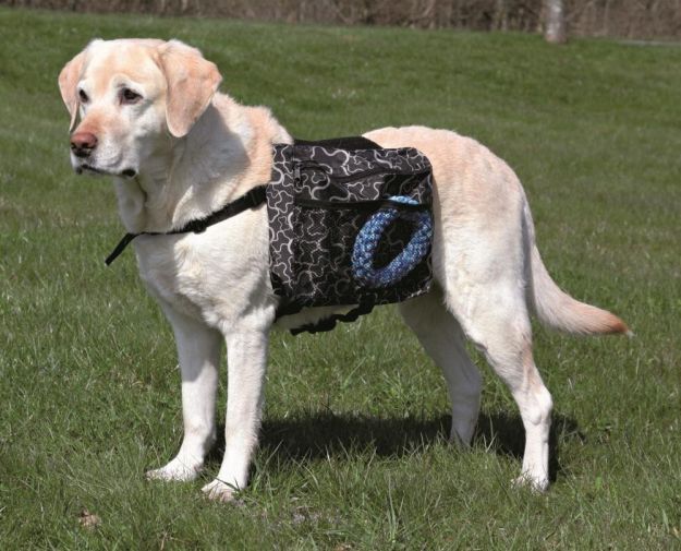 Dog Rucksack | Fido On The Hunt - A Complete Guide To Dog Hunting Gear