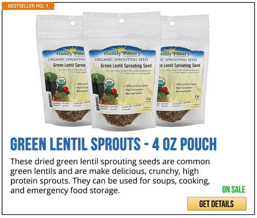 GREEN LENTIL SPROUTS