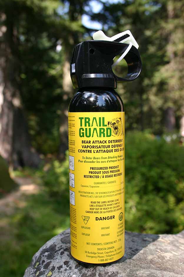 Keep a Bear Spray with You at all Times | How To Survive A Bear Attack