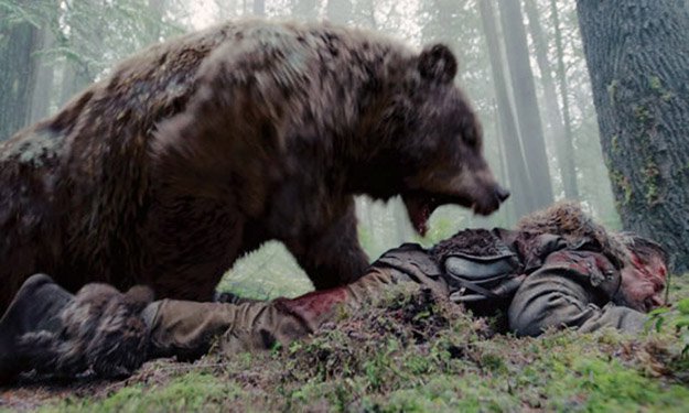 Know Whether to Play Dead or Fight Back | How To Survive A Bear Attack