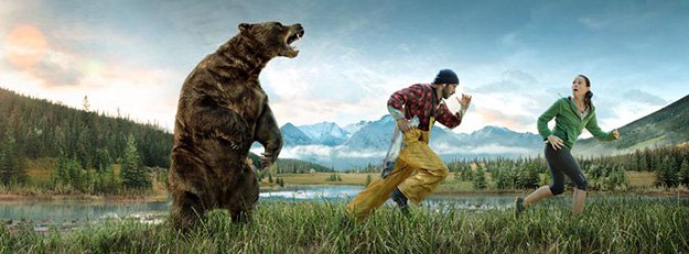 Don't Run | How To Survive A Bear Attack