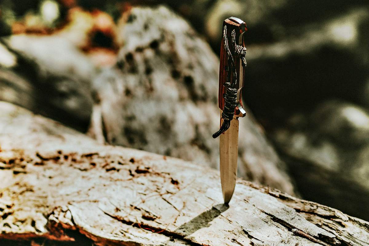 A knife stuck on wood | Best Survival Gear