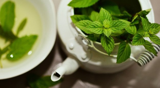 Mint Leaves | A Great Drink for Comfort and Health