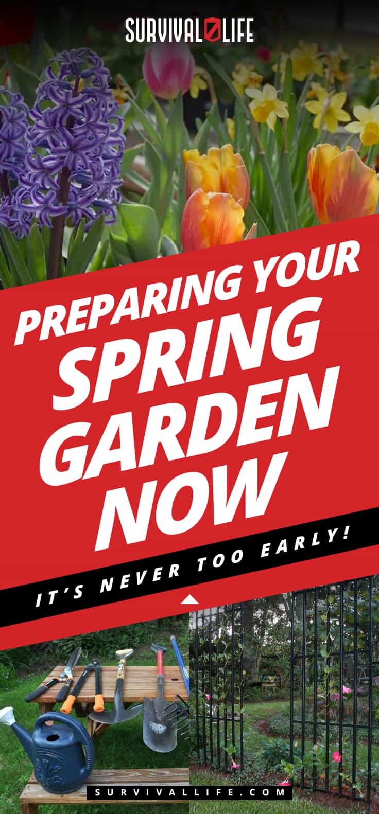 Preparing Your Spring Garden Now | It’s Never Too Early!