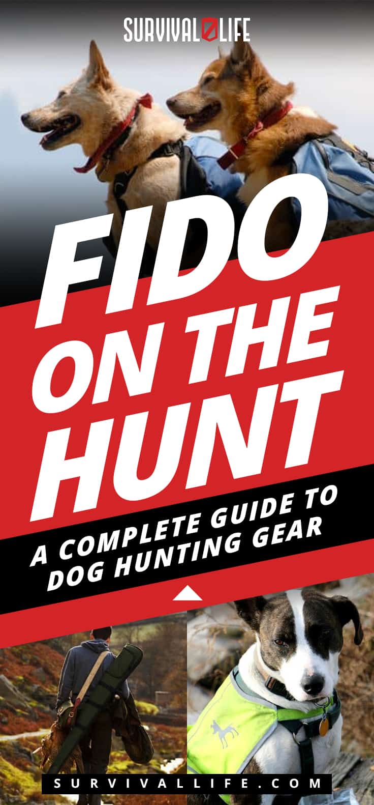 Fido On The Hunt: A Complete Guide To Dog Hunting Gear | https://survivallife.com/fido-on-the-hunt-a-complete-guide-to-dog-hunting-gear/
