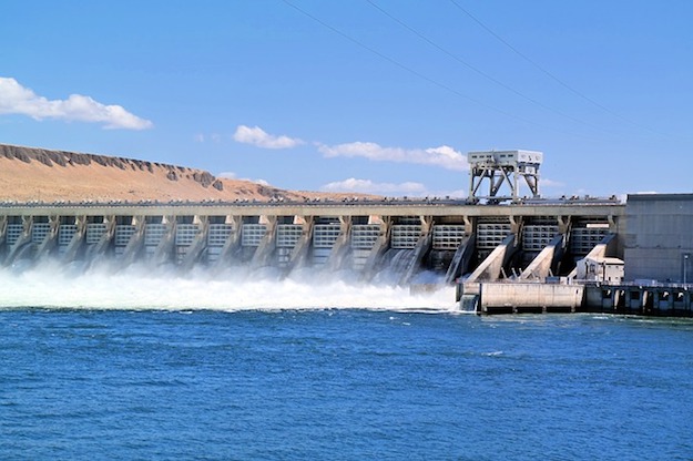 Hydroelectric Survival