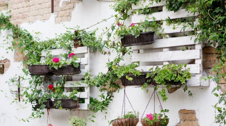 Pallet Gardening 2 Great Layouts For Your Garden Featured image