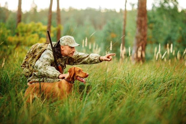 Bring a Dog | Practical Quail Hunting Tips Every Hunter Should Follow | how to hunt quail without a dog