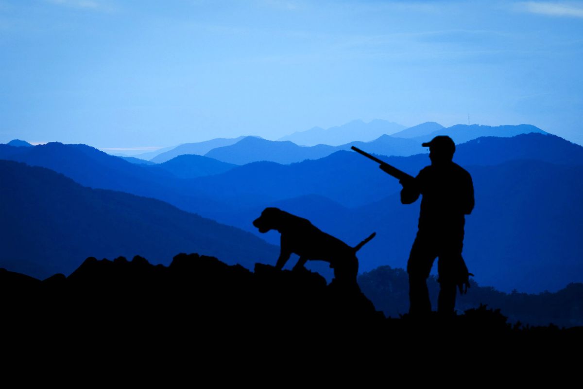 Hunter with his dog blue backgound | Fido On The Hunt: A Complete Guide To Dog Hunting Gear 