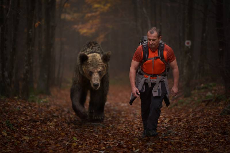 man-backpack-hiking-mountain-woods-alongside How To Survive A Bear Attack SS