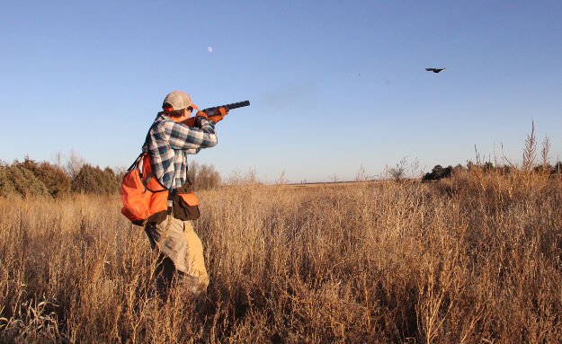 Hunt in late season | Practical Quail Hunting Tips Every Hunter Should Follow
