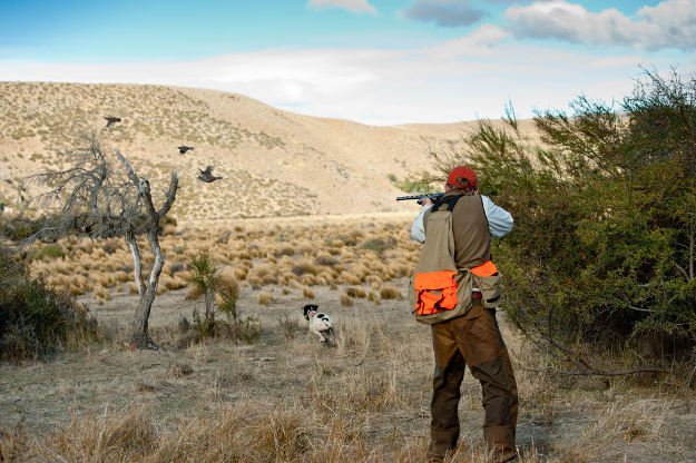 Familiarize the hunting area | Practical Quail Hunting Tips Every Hunter Should Follow